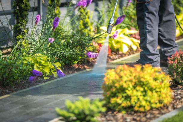 Best Sidewalk and Walkway Cleaning  in Fort Lee, VA