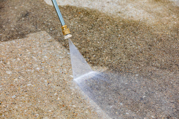 Best Soft Washing  in Fort Lee, VA